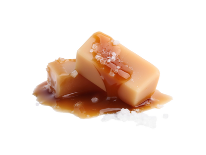 Royal Mochi – Salted Caramel - 120 gram (8 stuks)